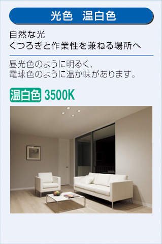 Amazon.co.jp: 大光電機(DAIKO) LEDダウンライト(軒下兼用) (LED内蔵